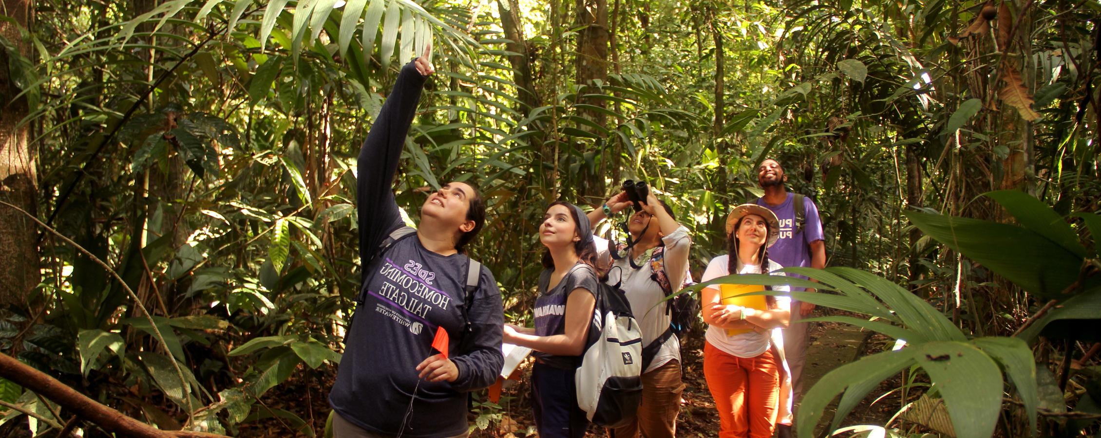 A faculty member leads a group of students through a jungle.