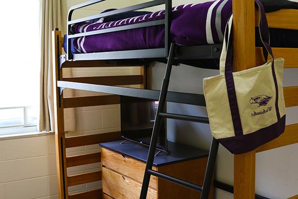 A bed raised above the ground. There is a ladder leading up to the bed, and a dresser underneath the bed.